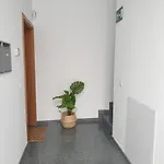 Apartamento City Las Palmas de Gran Canaria